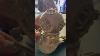 Hidden Treasure Found Rolex Mariner Display Piece