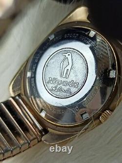 RARE VINTAGE NIVADA ANTARCTIC GLACIER WATCH AUTOMATIC SWISS 1970s ORIGINAL