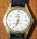 RARE Vintage Lucerne Electra Crown Logo Mechanical Men's Watch SWISS MADE