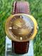 Rare Felca New Frontier 25 Jewels Automatic Vintage Swiss Made Men's Wrist Watch