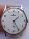 Rare Vintage DARWIL 17 Jewels Swiss