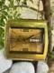 Rare Vintage Favre leuba automatic sea raider Hi Beat 36000 Day-Date Swiss Watch