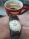 Rare Vintage LEIJONA 17 RUBIS Ref. 376 Antimagnet Incabloc Waterproof Swiss Watch