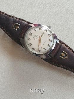 Rare Vintage LEIJONA 17 RUBIS Ref. 376 Antimagnet Incabloc Waterproof Swiss Watch