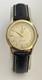 Vintage CHEVRON Power Reserve Watch RotoMatic ADJUSTED Swiss SERVICED RARE
