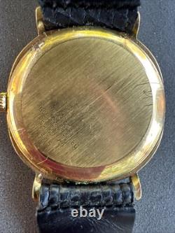 Vintage Catena 505 18K Gold Electroplated Watch TIGER EYE DIAL Swiss Made RARE