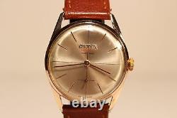 Vintage Rare Beautiful Gold Plated Mechanical Swiss Men's Watch Omodox 17j