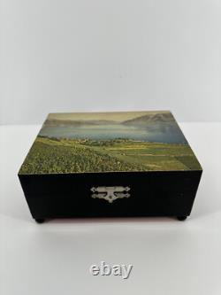 Vintage Thorens Swiss Automatic Disc Music Box with 12 Discs Rare Collectible